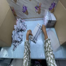 Example human cloth-folding observation